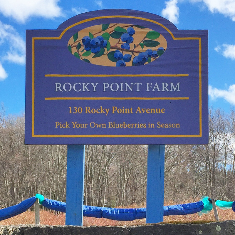 rocky point farm-blueberry-paw paw © Mary Tanana 2015